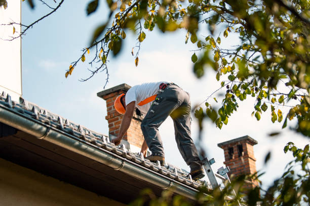 Best Commercial Roofing Services  in Clinton, WA
